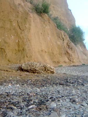 Прикрепленное изображение: Фото0210.jpg